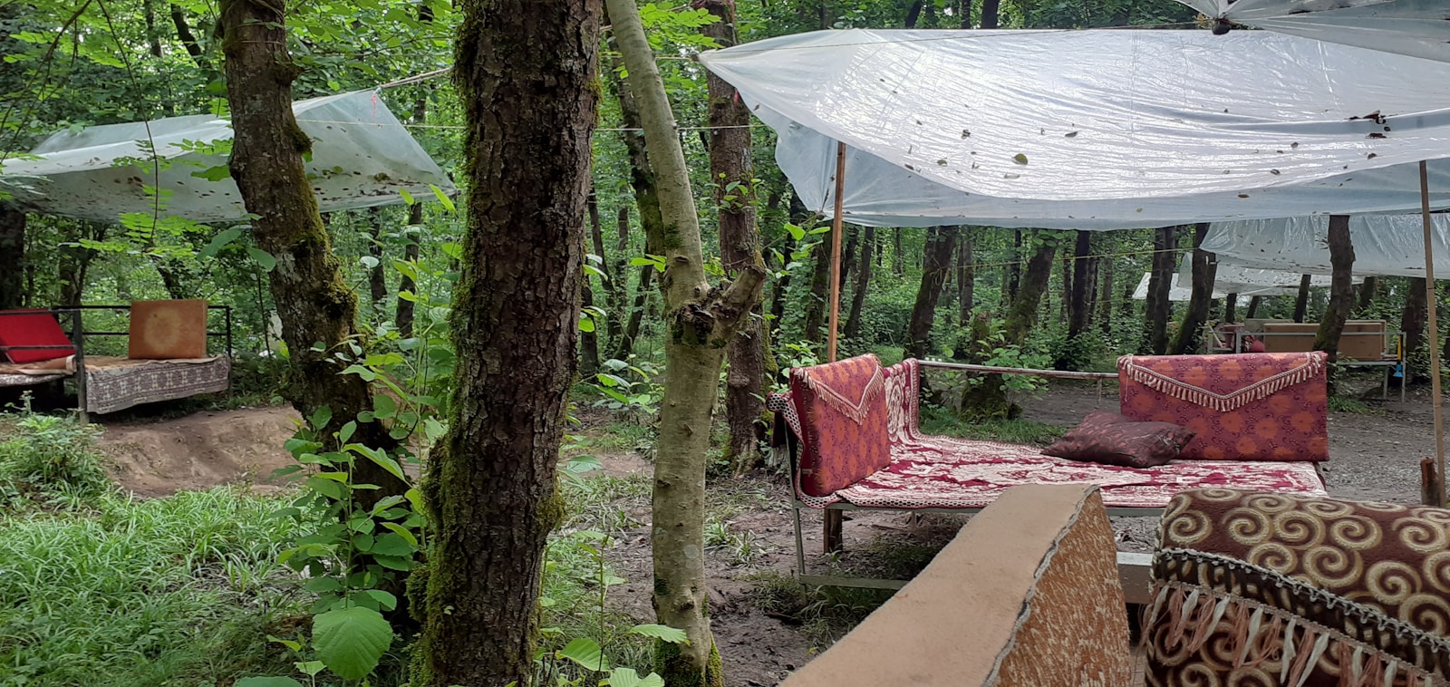 Tranquil outdoor setting with cushions and speakers nestled among trees