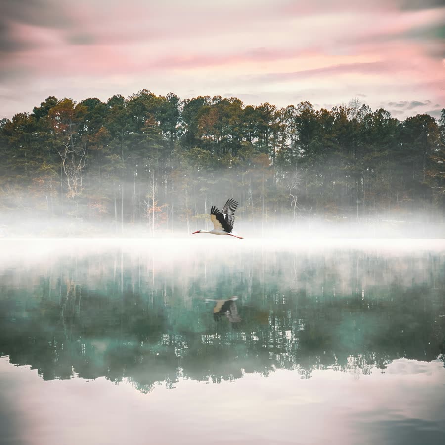 Echoes of the Ancients